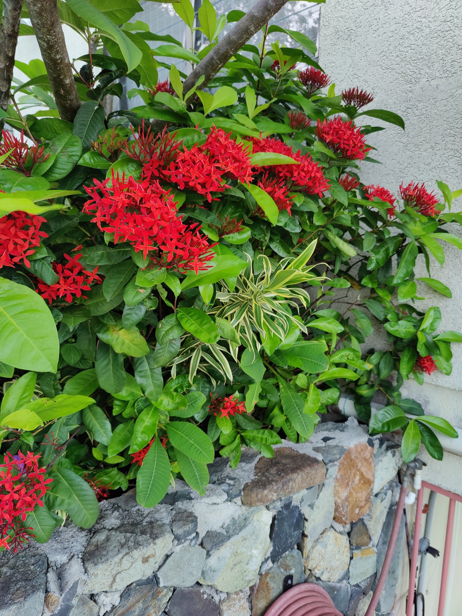  image here  publ4image7 IMG20221012173429.jpg