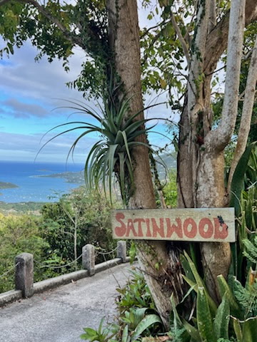  image here  publ1image1 Satinwood_sign_Apr_2025.jpg